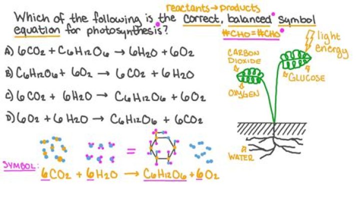 Balanced Equation For Photosynthesis - How To Discuss