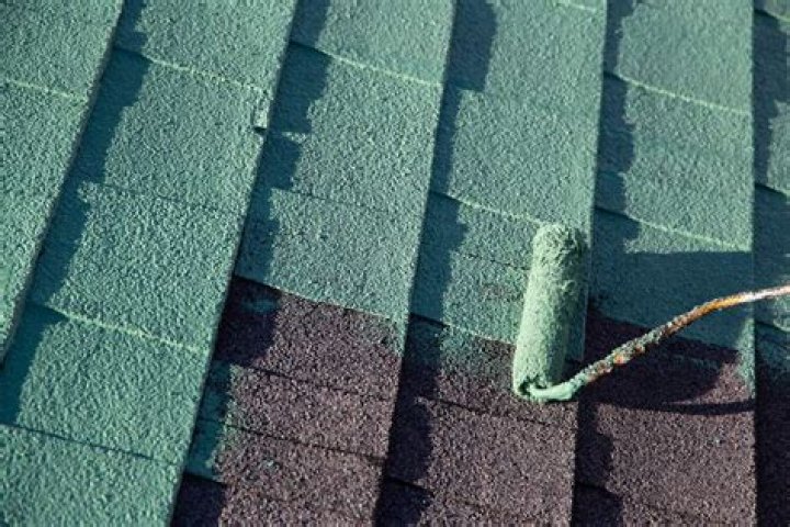 Painting roof shingles - How To Discuss