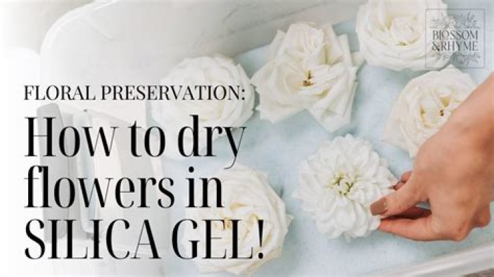 Silica Gel Gardening - How To Discuss