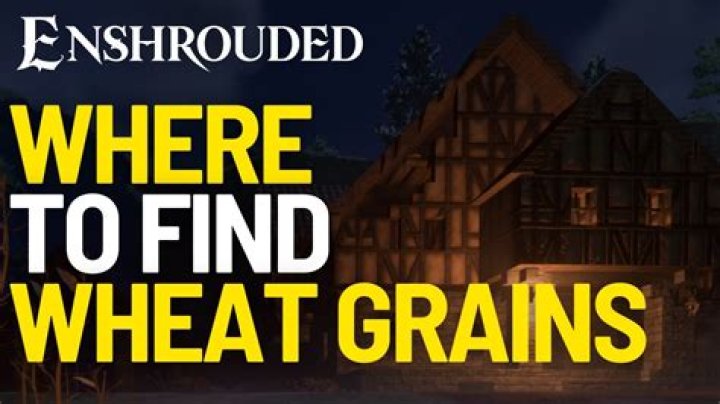 Where To Find Wheat Bran In Grocery Store